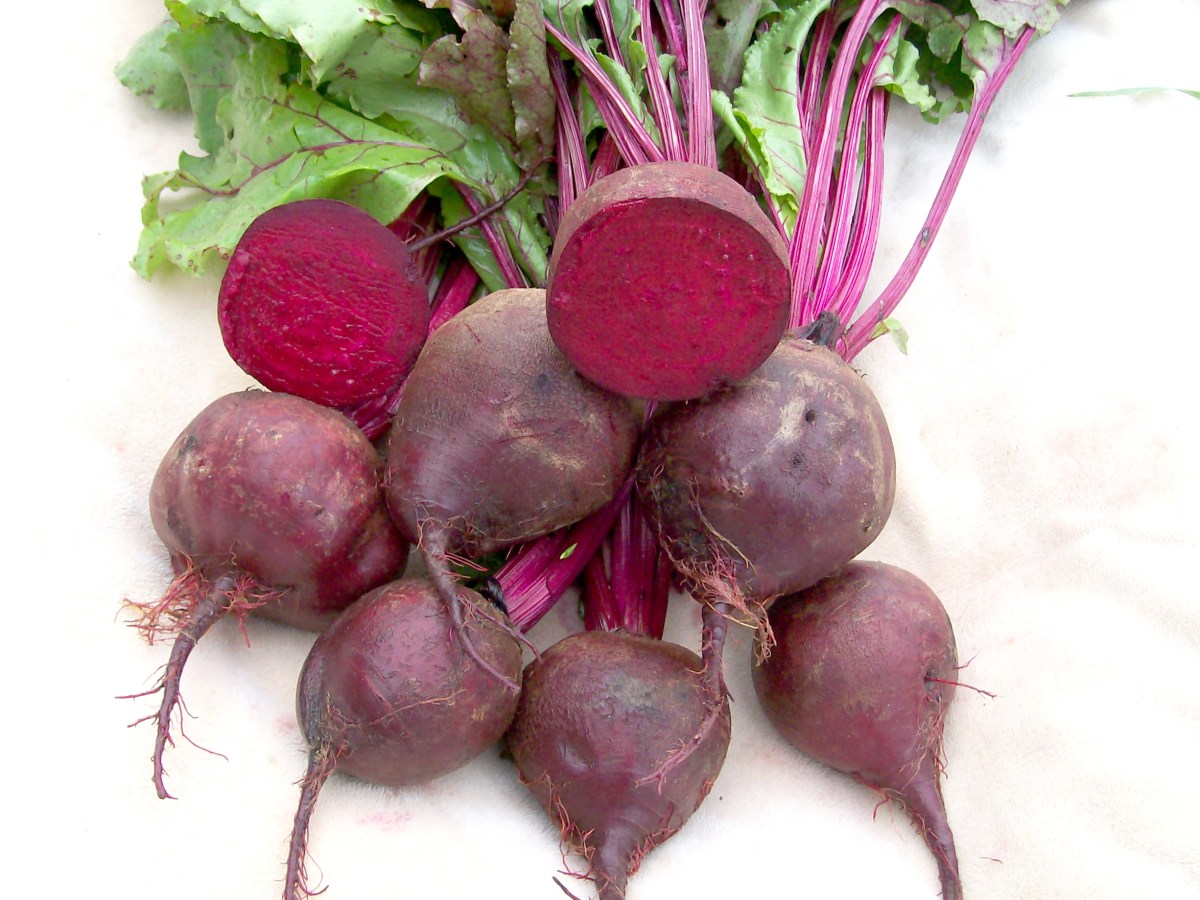 Beet Facts