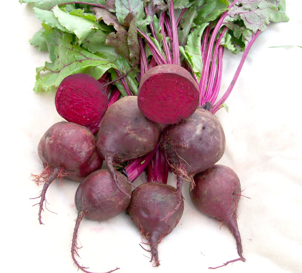 Beet Facts – Fruit & Stuff