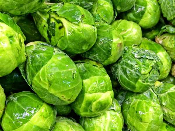 Brussels Sprouts Facts
