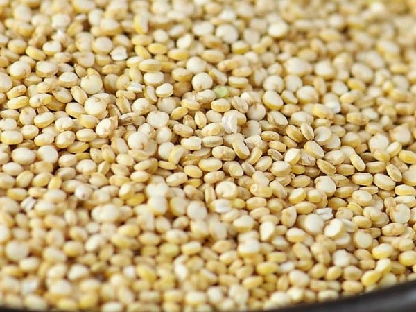 Quinoa Facts