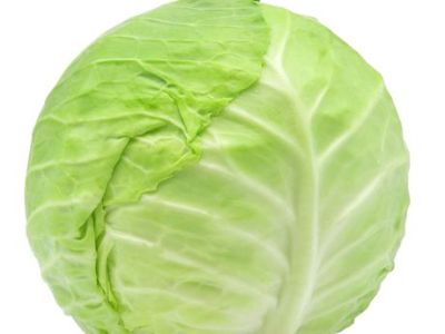 Cabbage Facts
