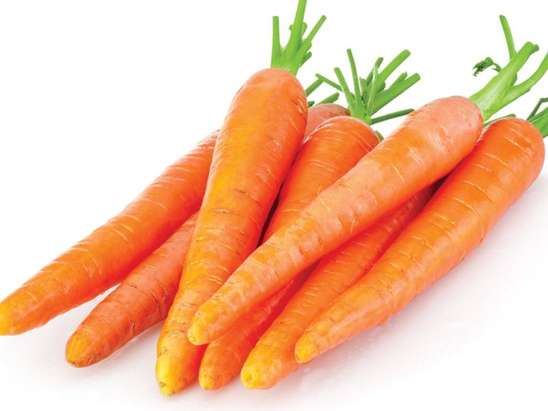 Carrot Facts
