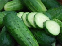 Cucumber