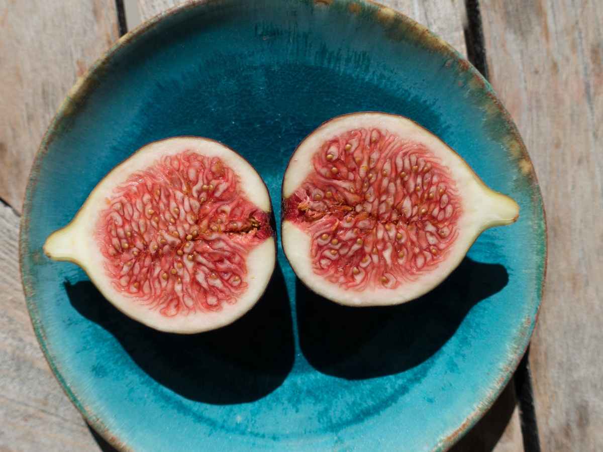 Figs