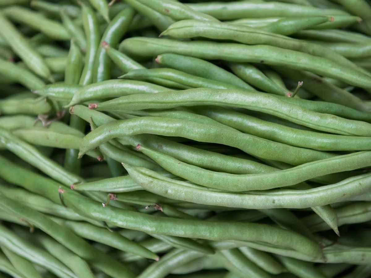 Green Beans