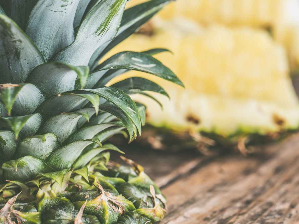 Pineapple