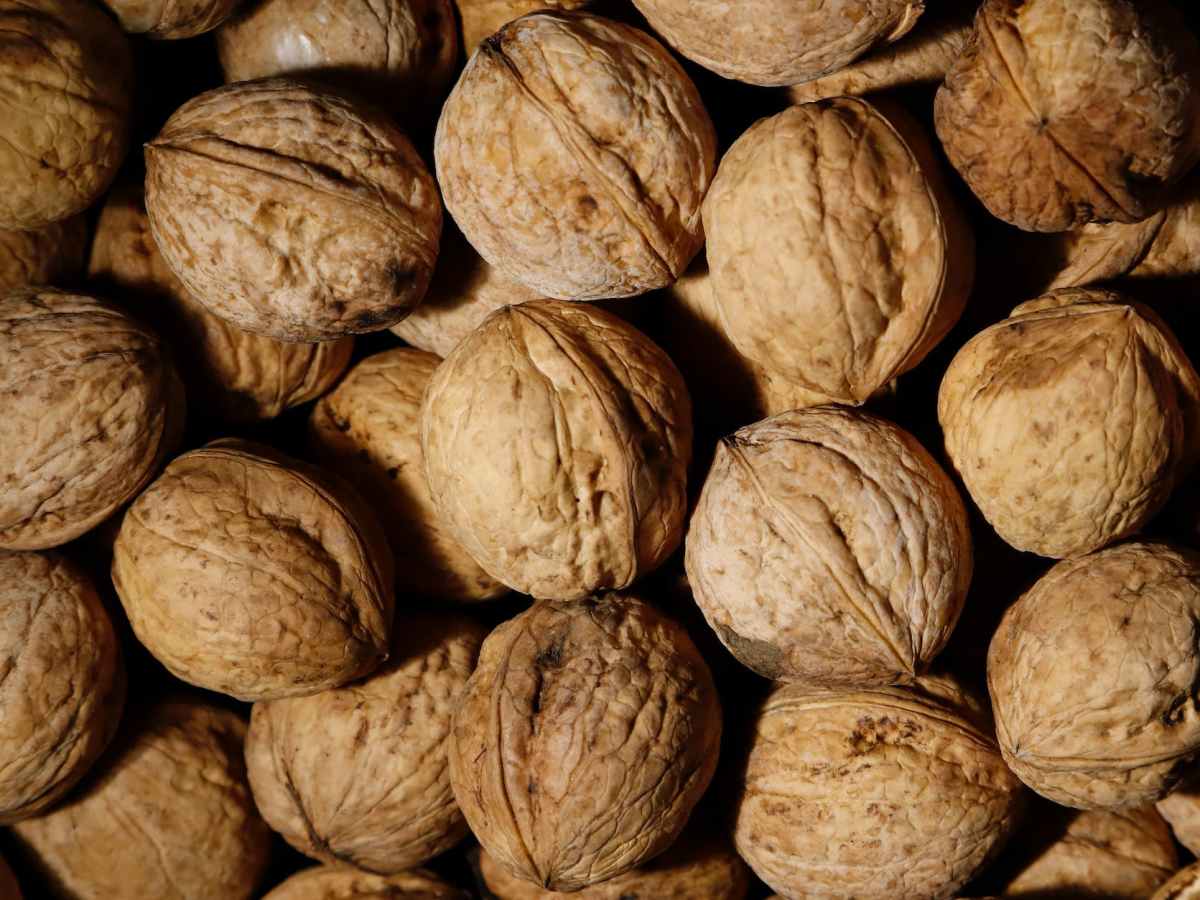 Walnuts
