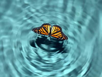 Micro Changes, Micro&nbsp;Habits